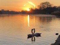 Help Nature Thrive Campaign