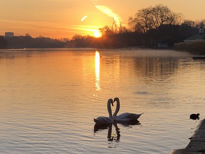 Help Nature Thrive Campaign