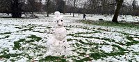 A Snowy Extra