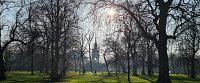2021 Begins in The Royal Parks