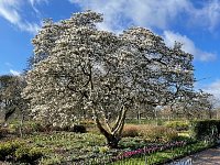 Easter Gallery