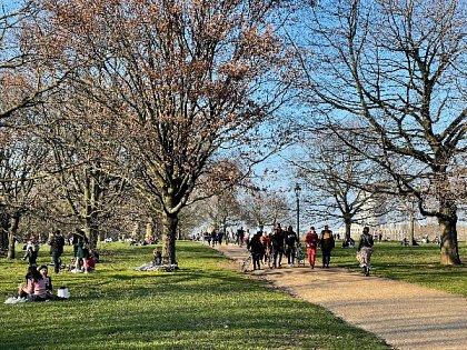 Activities in the Park