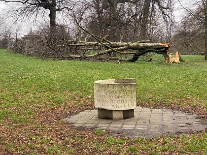 In the Park - Storm Eunice and A Member's Winter Walk