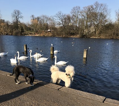 It seems a particularly sociable Spring this year...