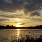 Member's Photo: Rosa Davies