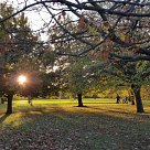 Member's Photo: Rosa Davies