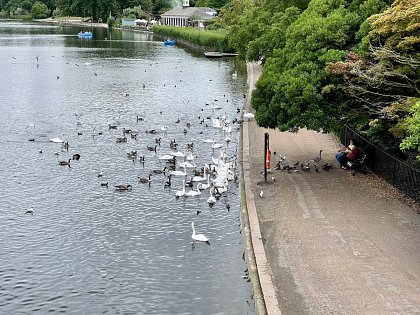 Sit on a bench and feed the birds, no need to stand up, they’ll come to you