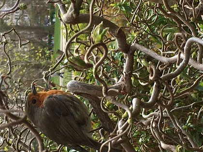 Photo by Sandie and piece by Jordan, both Volunteers