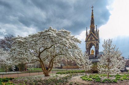 Spring Rolls into Summer