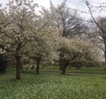 Blog 1: Introductory Blog from Jason Taylor, Hyde Park Manager