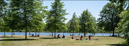 Blog 12: Blog from a member, Dimity Spiller