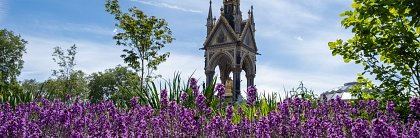 Blog 19 Chairmans Update - Kensington Gardens