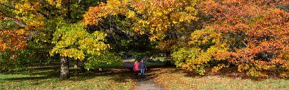 Blog 21: An Autumnal