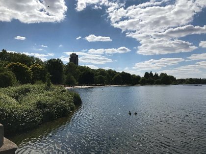 Blog 9:  Importance of Water