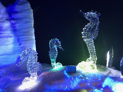 Friends Visit to Winter Wonderland 2017