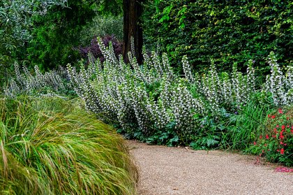 Colour Palettes in the Park